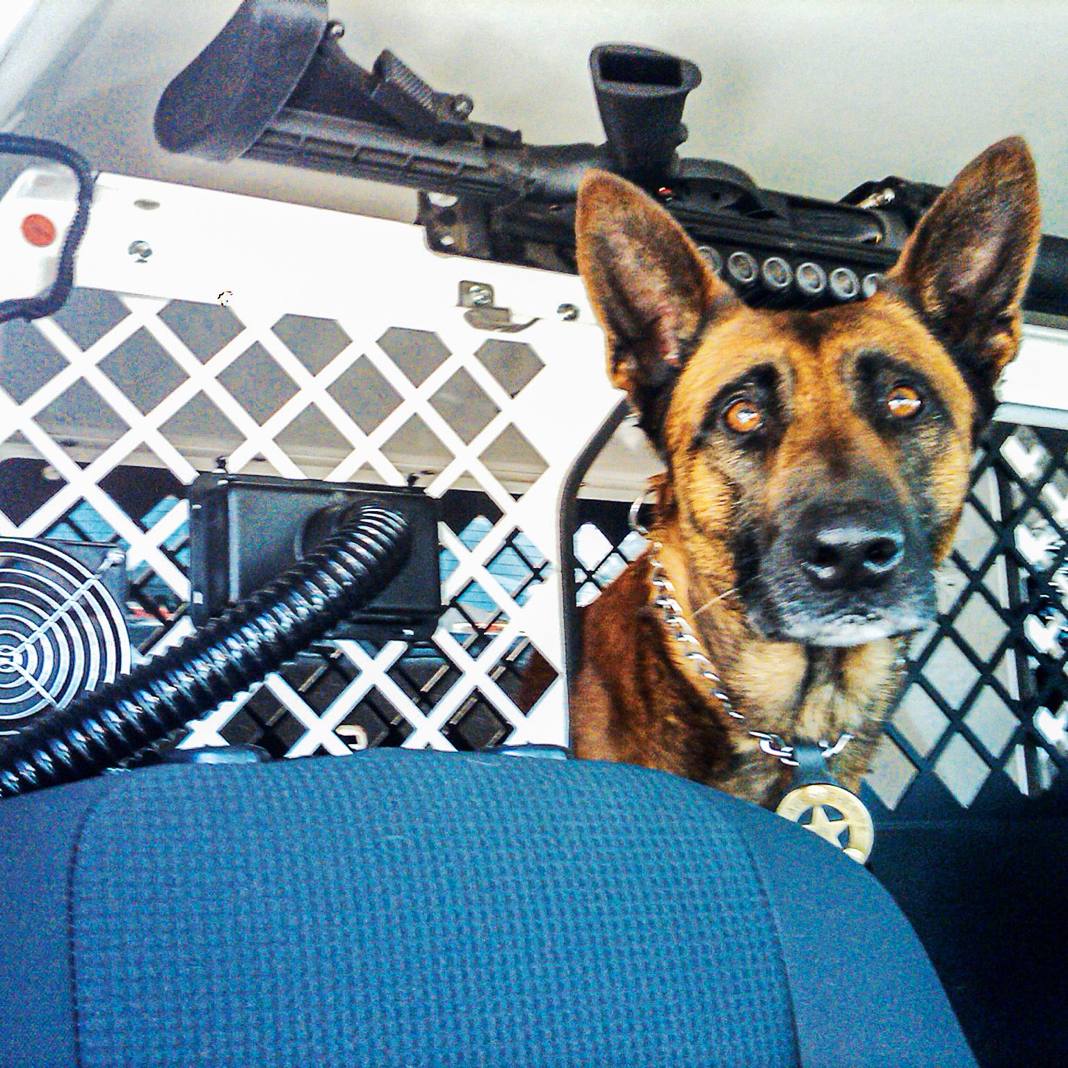 CoolK9 Climate Control System for Police vehicles. Air directed to your K9.